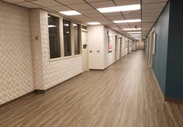 Image Alt Text
